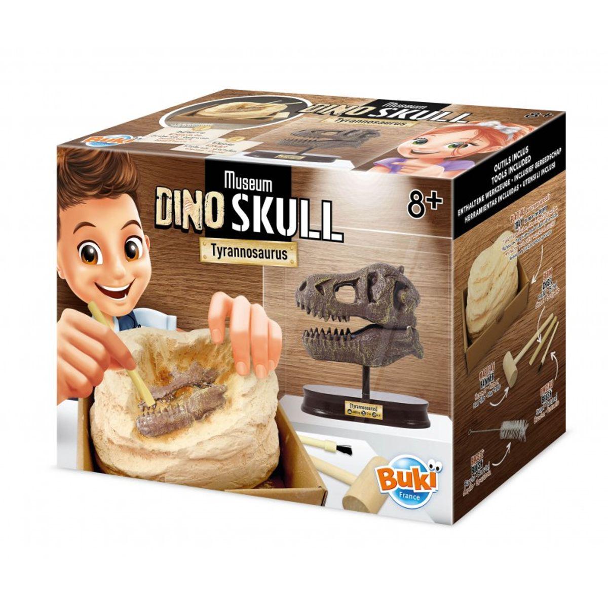 Buki France Museum Dino Skull Tyrannosaurus Dig Kit