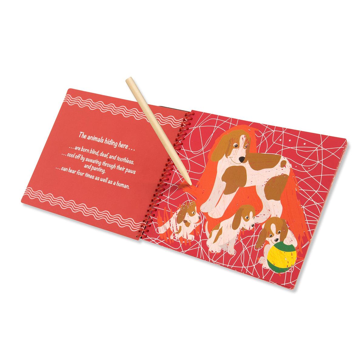 On the Go Scratch Art: Animal Families Hidden-Picture Pad 9145