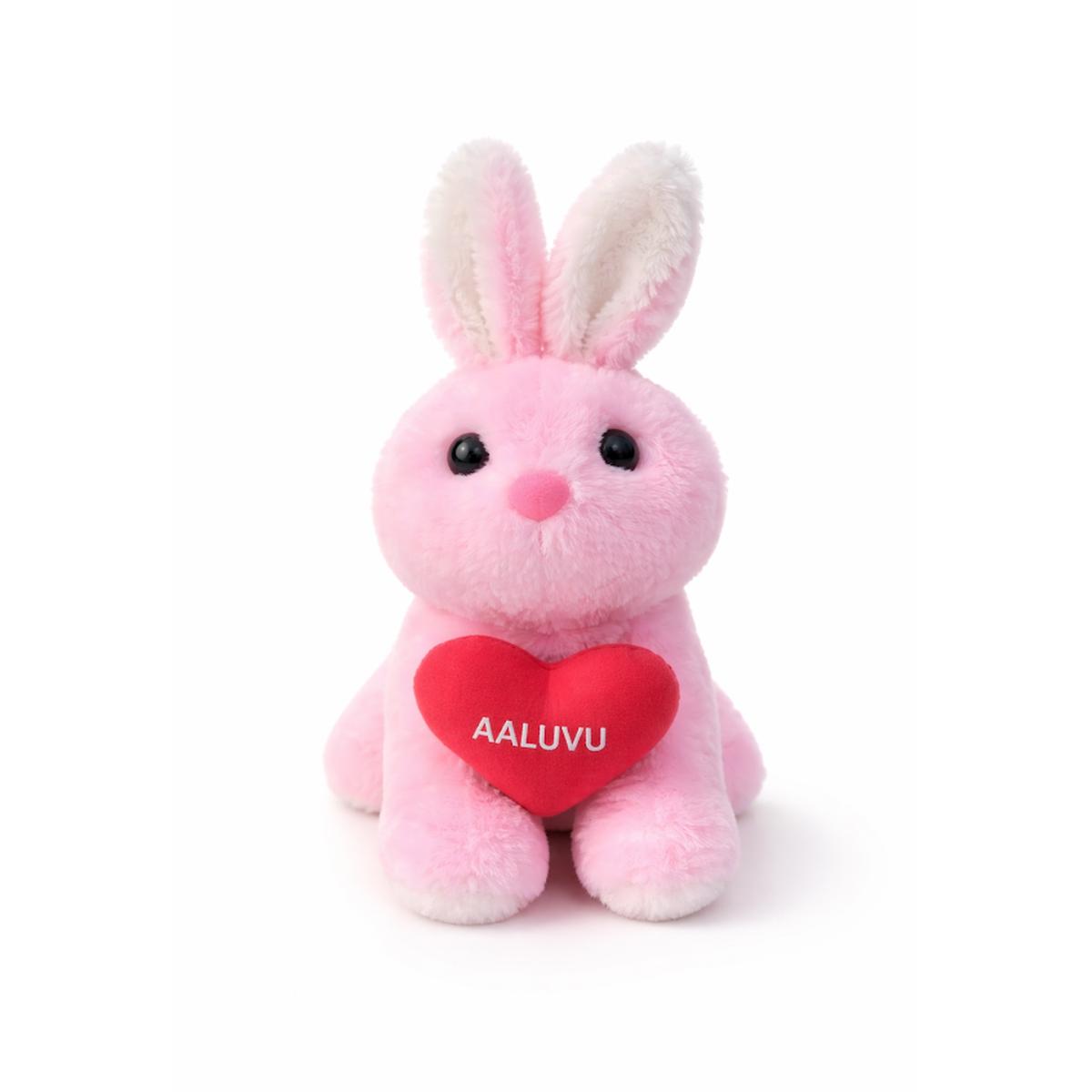 Meteor Plush Bunny With Heart