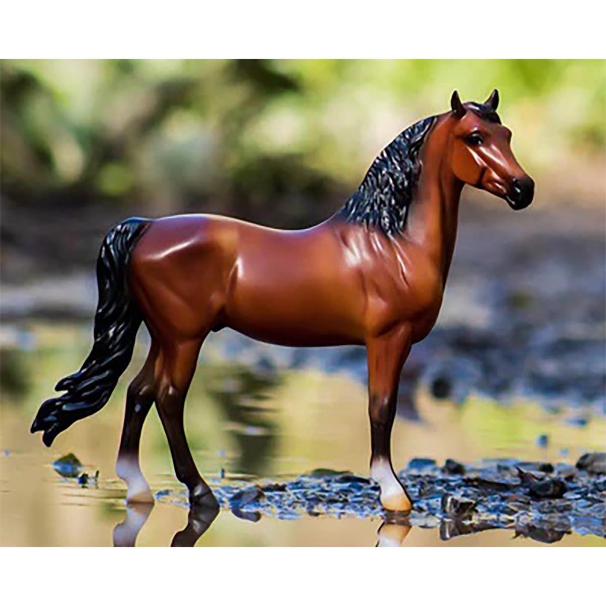 Bright Bay Morgan Horse 964
